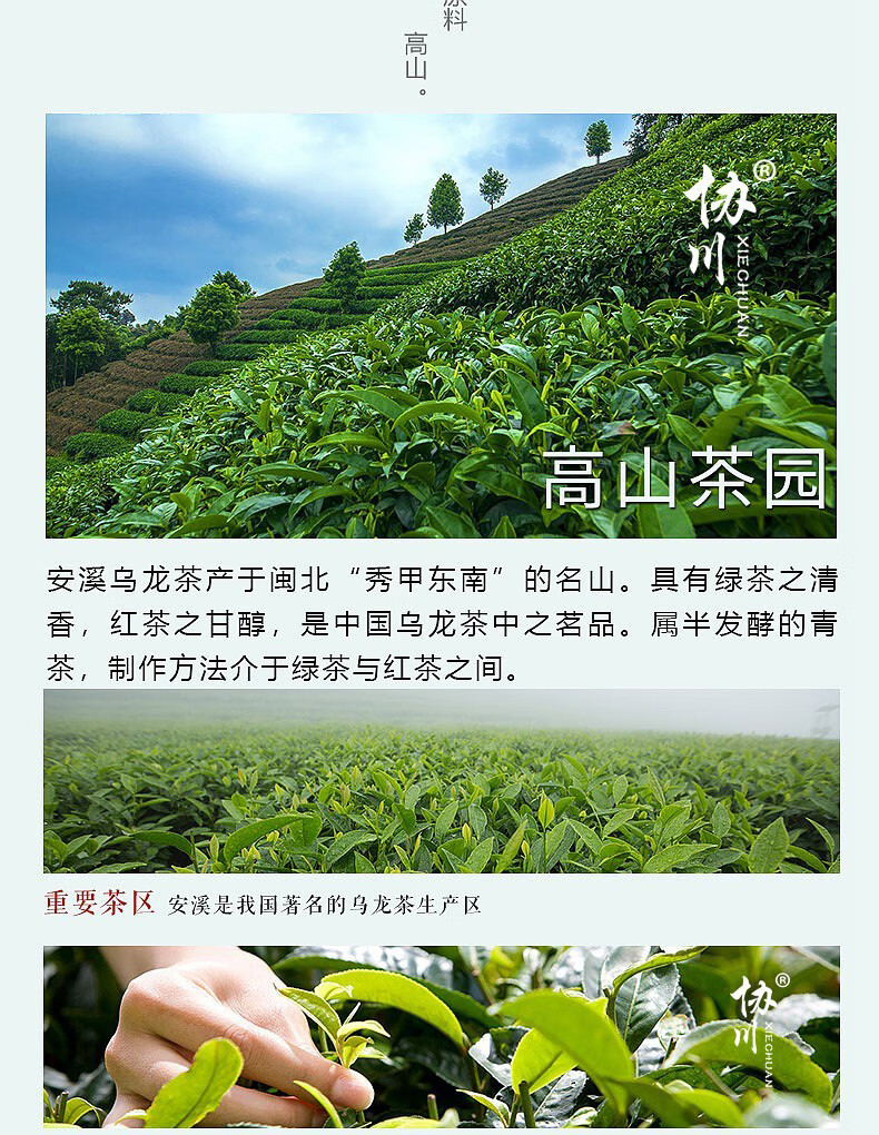 福建安溪碳培炭焙铁浓香型熟茶炭烧重火陈茶老茶