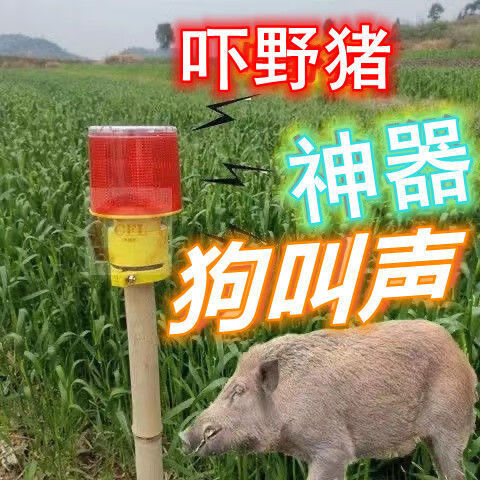 夜间太阳能驱兽带狗叫声音爆闪吓野猪的神器驱赶器喇叭警示闪光灯狗叫