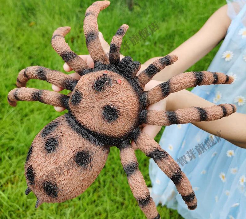 仿真大号蜘蛛模型塑胶静态蛛狼蛛蝎子万圣节吓人整蛊玩具摆件 大号