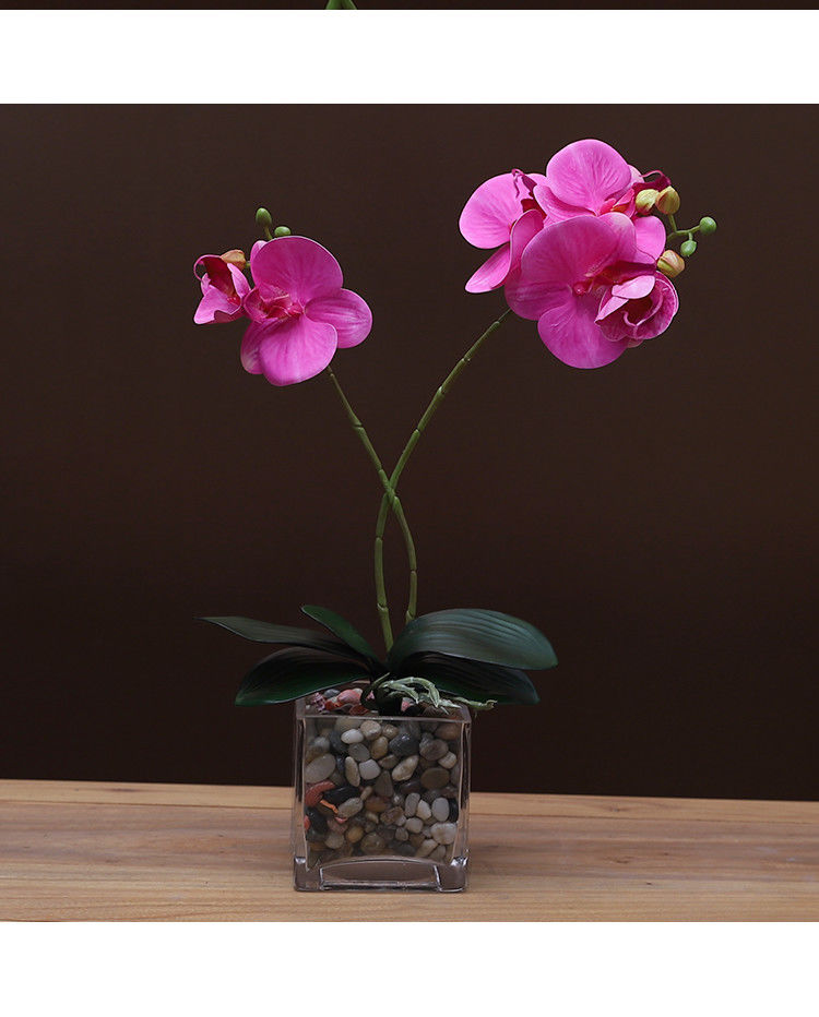 室内假花装饰摆设仿真蝴蝶兰花绿叶单支可弯曲客厅餐桌茶桌酒柜插花多