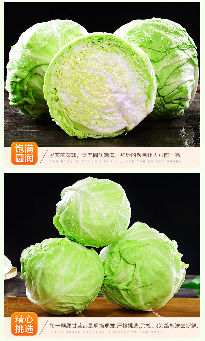 河南绿甘蓝鲜嫩扁包菜5斤【实惠装1-3个】斤农家菜蔬菜应季卷心菜