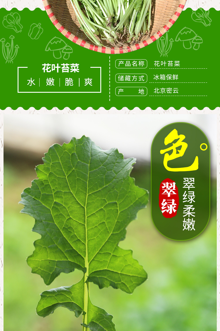 密农人家新鲜花叶苔菜密云农家种植蔬菜300g新鲜花叶苔菜300g