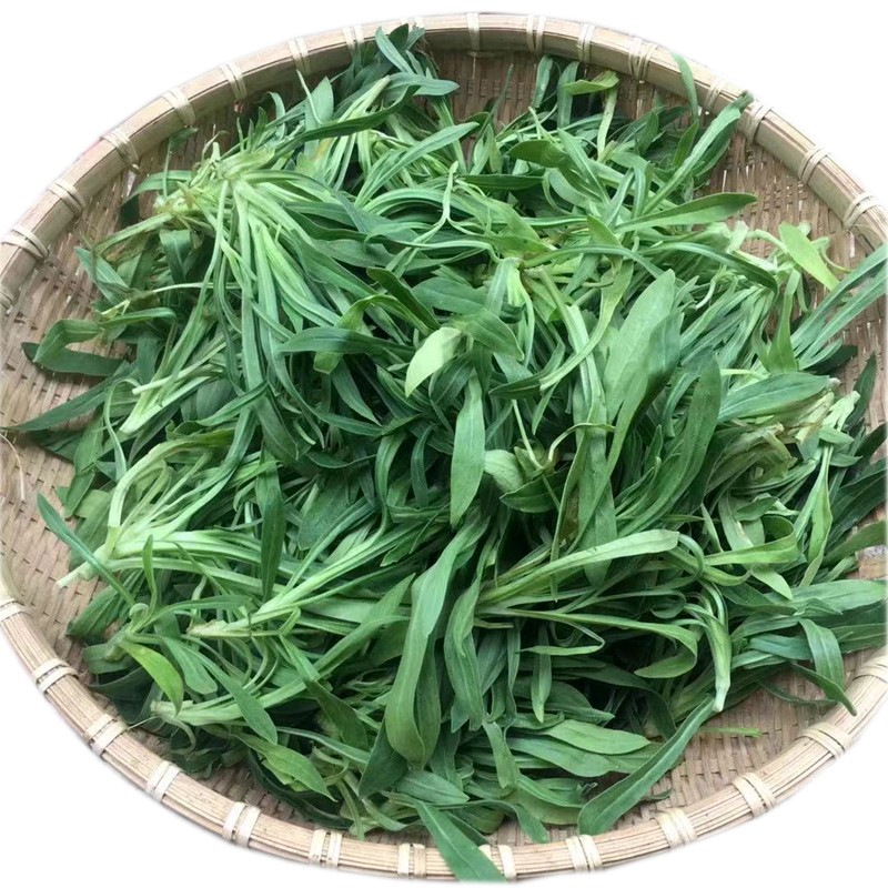 轻恋 新鲜蔬菜面条菜羊蹄棵新鲜面条菜时令蔬菜蒸菜 3斤【图片 价格
