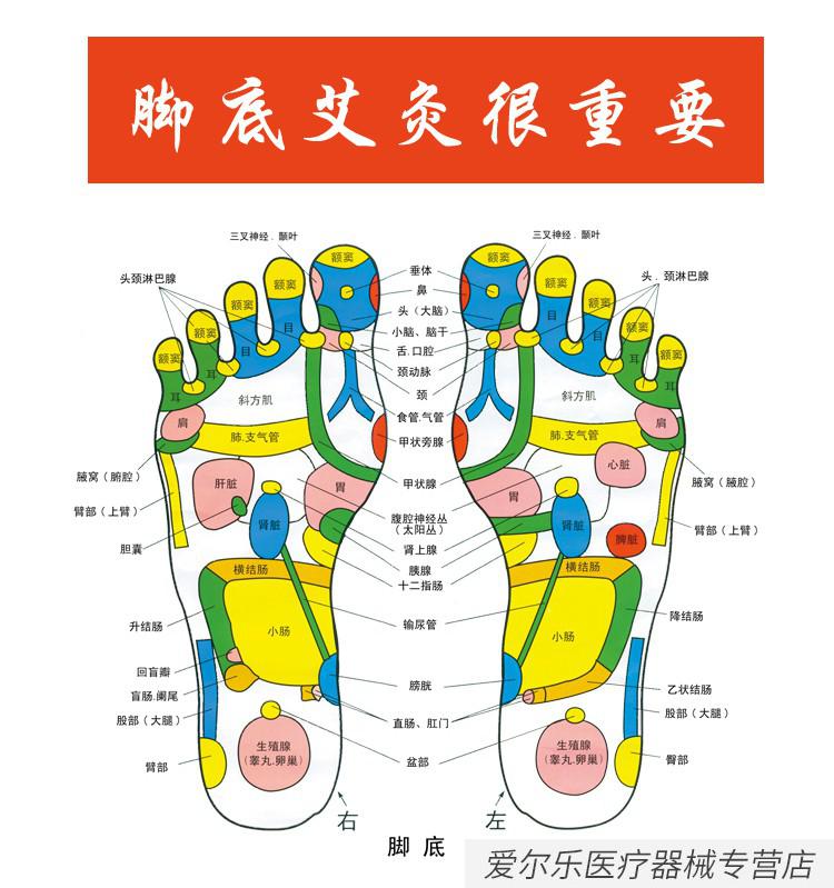 右脚部位名称图解图片