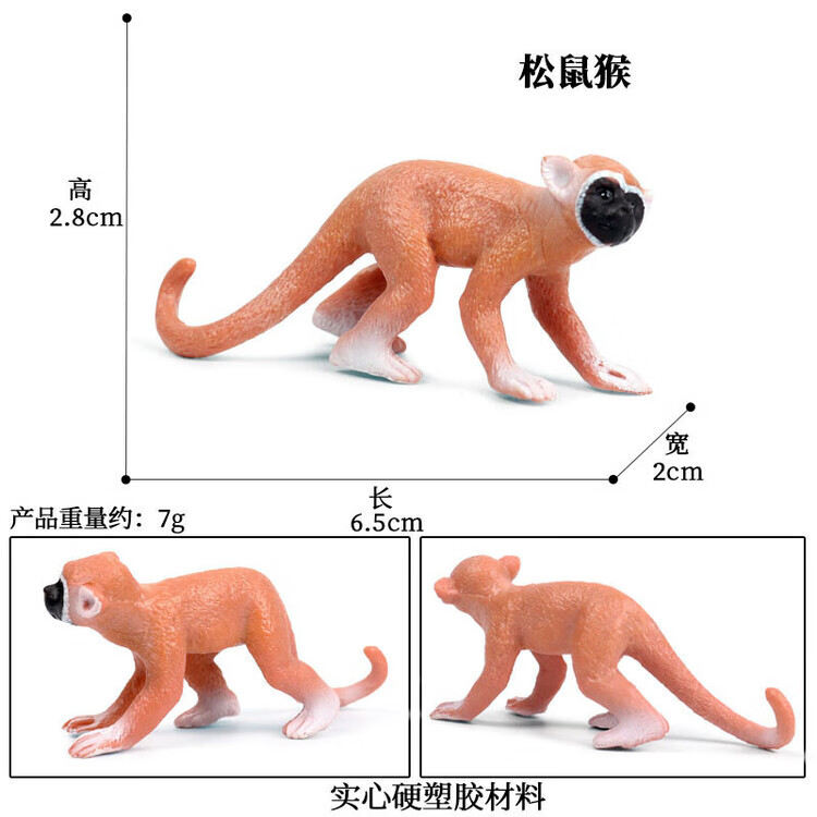 PL127-201松鼠猴
