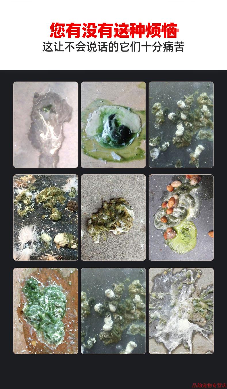 活菌王鸽用活菌鸽子药大全常见病赛鸽药调理肠道拉稀水便绿便豆乐奇鸽