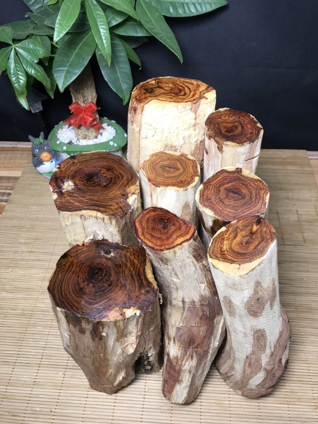 黄花梨木料海南原木料海黄紫油梨根料雕刻手把件珠子料鬼脸sn2364海黄