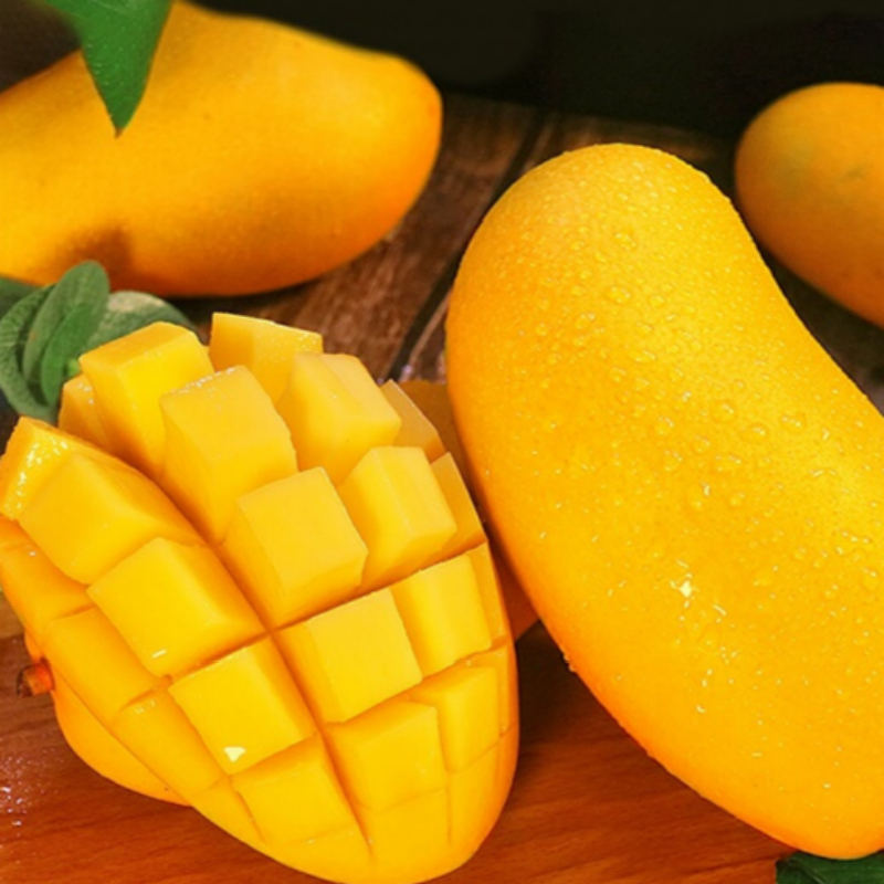 【618活动】海南特产水仙芒果新鲜金煌芒当季水果青甜心特大芒果 9斤