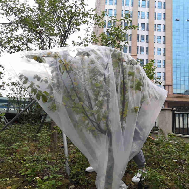 植物冻保温罩套挡风袋子桂花树保温布塑料罩温室大薄膜花卉种植j66