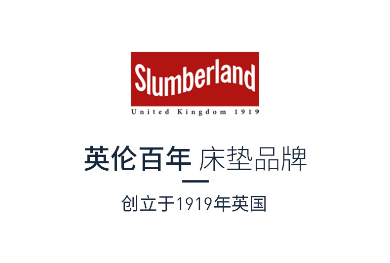 斯林百兰 经典保背健 一体弹簧软硬适中床垫床垫 双人床垫 厚22cm
