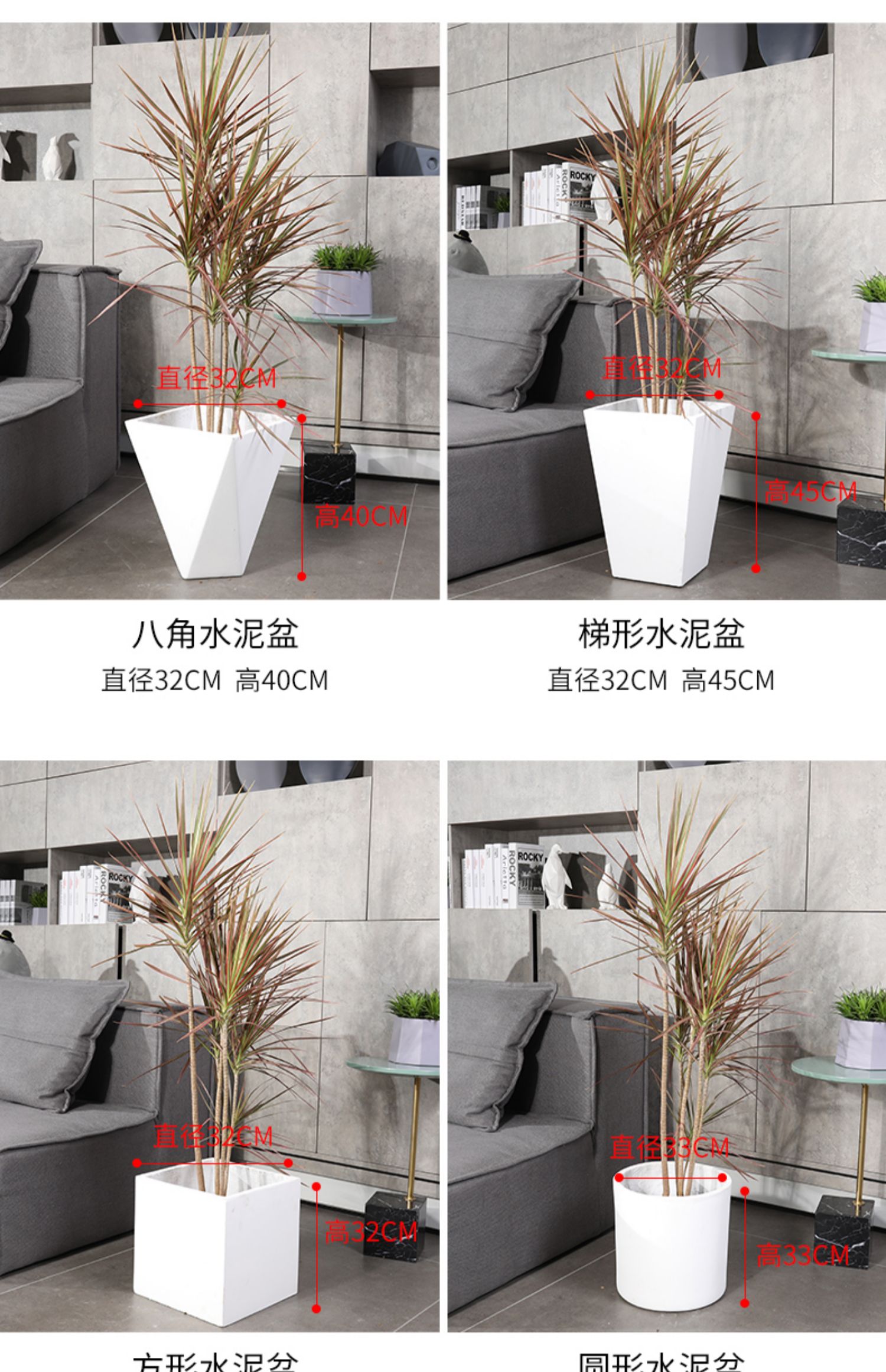 千年木盆栽大型吸甲醛客厅室内绿植办公室盆景植物七彩铁树 千年木