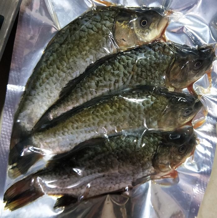 鲫鱼活鱼现杀现发汤 鲫鱼2斤装(一斤3-5条))