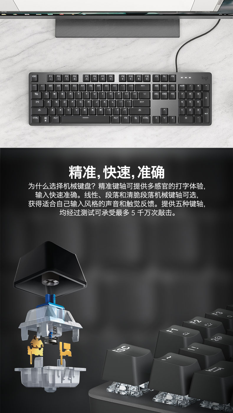 b11c55b610a34b8e.jpg