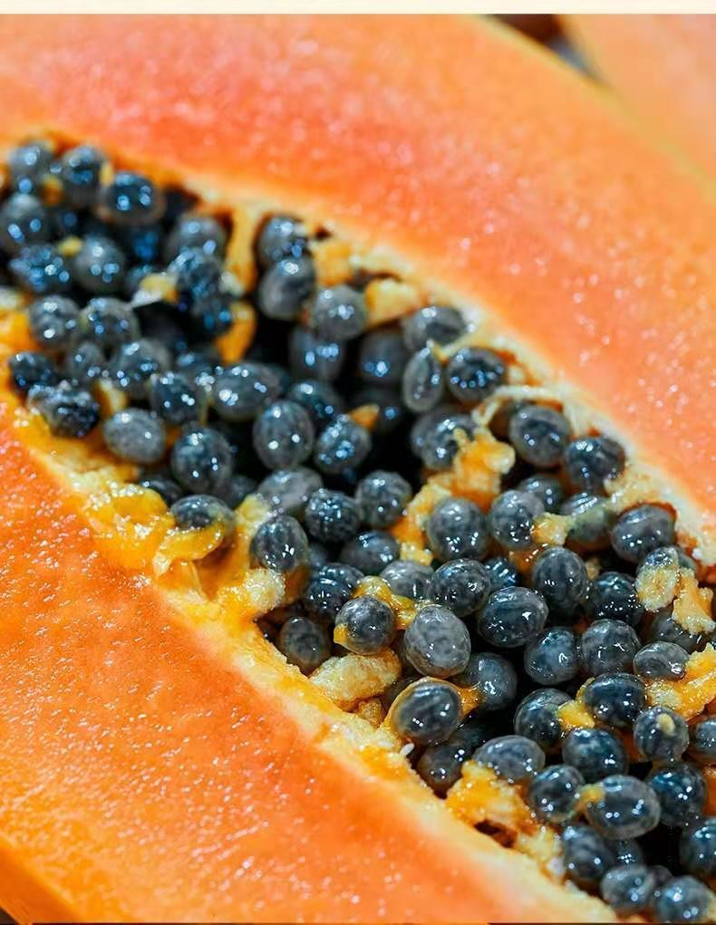 京选生鲜自营坏果包赔爆甜雷州冰糖红心牛奶木瓜树上熟甜木瓜新鲜水果