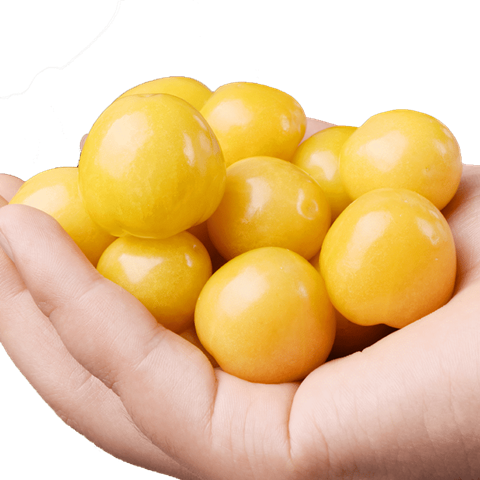 菇娘果【现货】新鲜水果灯笼黄姑娘果洋菇娘姑娘果小姑娘东北菇娘 2斤