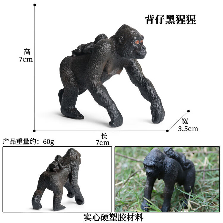 M4061背仔黑猩猩
