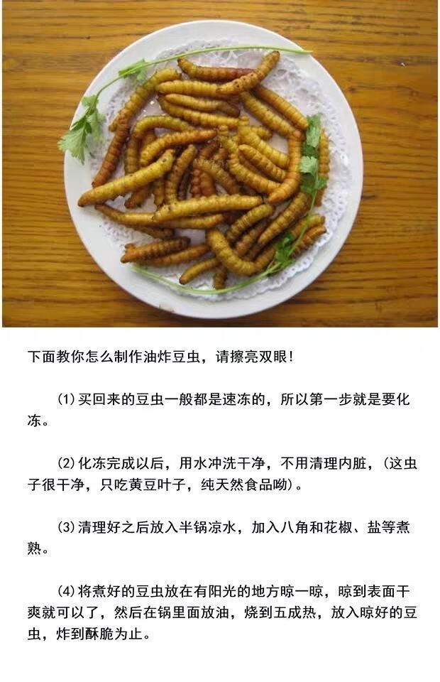 批发豆虫豆丹豆虫豆虫即食豆虫蛹豆虫活体活豆虫速冻山东豆虫四斤保温