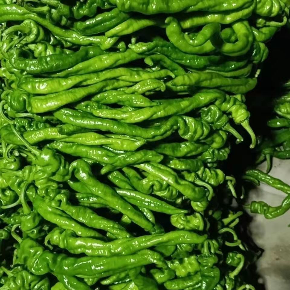 螺丝椒现摘现发新鲜辣椒薄皮螺丝椒香辣皱皮椒二两辣椒批发微辣新鲜