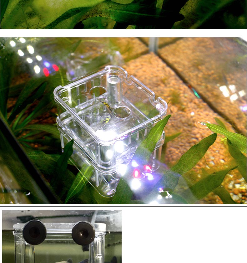 搭啵兔 鱼缸亚克力双重孵化器小鱼隔离盒悬浮式保护盒产卵盒水族用品