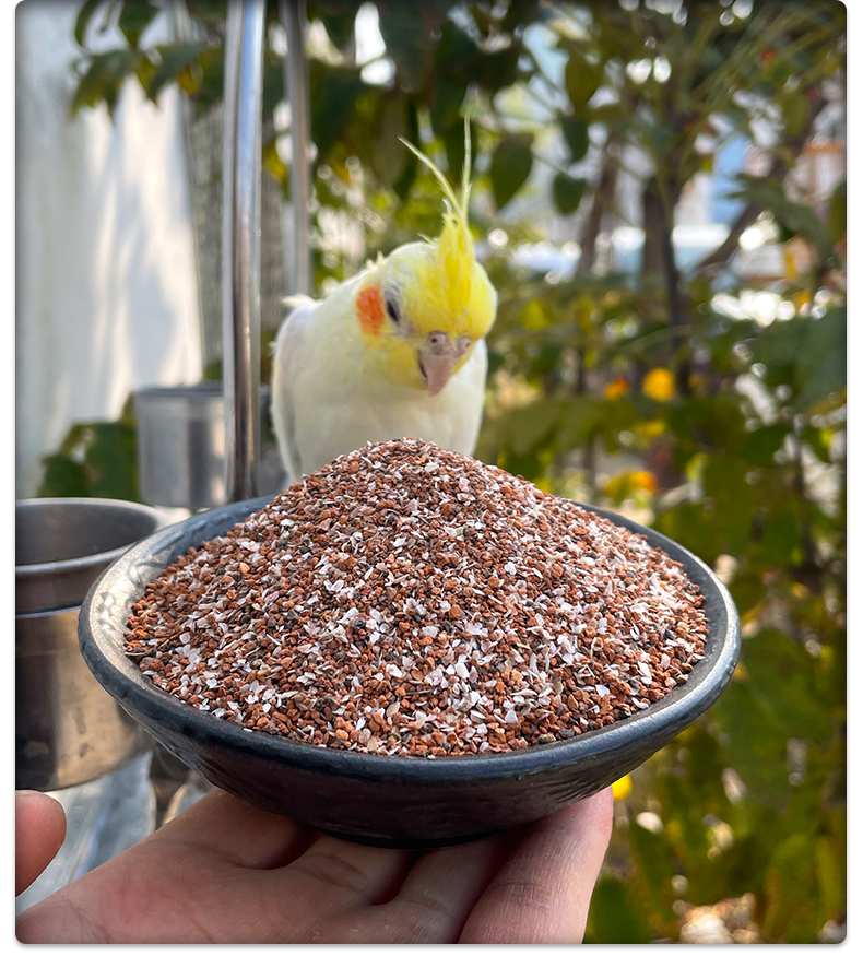 炫料鸟用保健砂鹦鹉鸟粮饲料玄凤玉鸟小颗粒高钙沙小型鸟