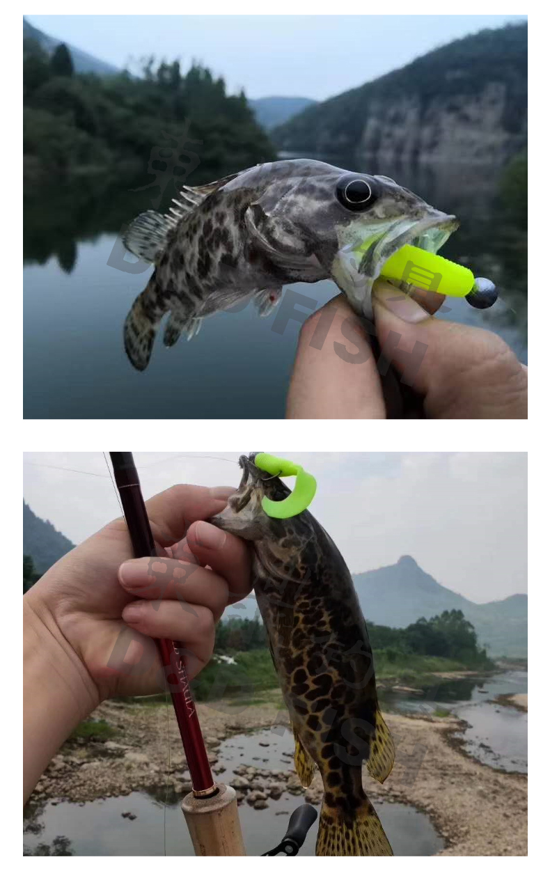 东鼎路亚软饵卷尾蛆软虫水之舞者黑坑鳜鱼鲈鱼假饵德州倒钓钓鱼饵亮