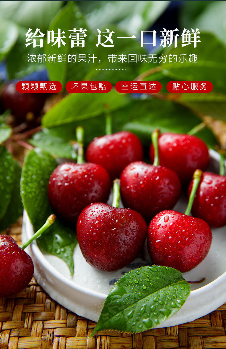 山东大樱桃露天成熟国产车厘子新鲜当季水果现摘现发孕妇水果 3斤特大