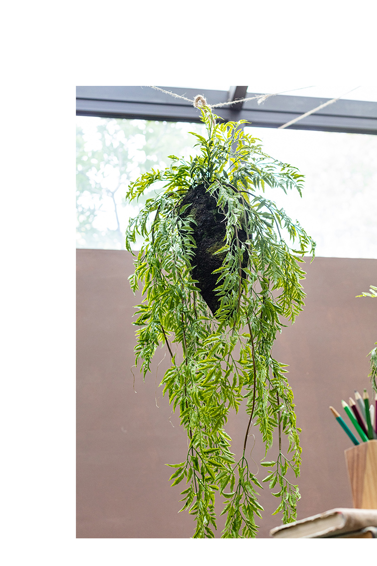 植物吊球吊饰空中垂吊挂饰绿植花艺壁挂橱窗装饰森系d款植物高57cm