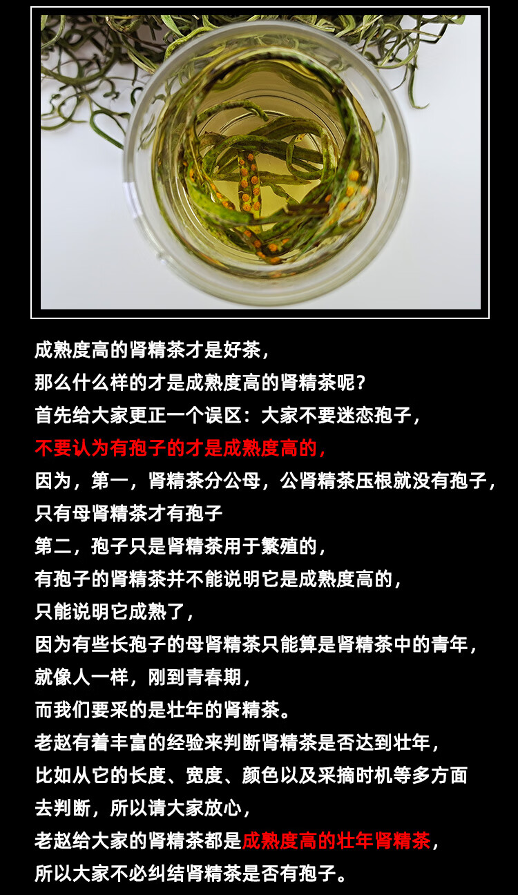 长白山肾精茶肾精草肾精草茶东北草石韦草石苇草250g新货 100克【图片