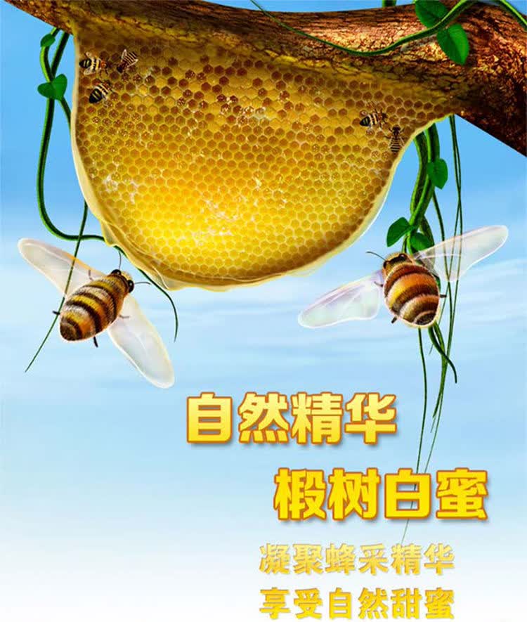 刘氏蜂产品刘在芳结晶椴树蜜雪蜜白蜜巢蜜东北野生蜂蜜1000g