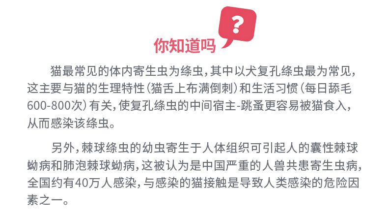 6，海樂妙貓咪躰內外敺蟲葯寵物成貓幼貓絛蟲線蟲蛔蟲鉤蟲鞭蟲耳蟎打蟲片 2.1-8kg貓用56mg(整盒3粒裝)