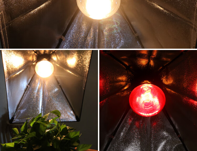 保温灯小鸡育雏仔猪猪用猪场猪舍烤灯养殖取暖灯泡加热节能保暖灯三代