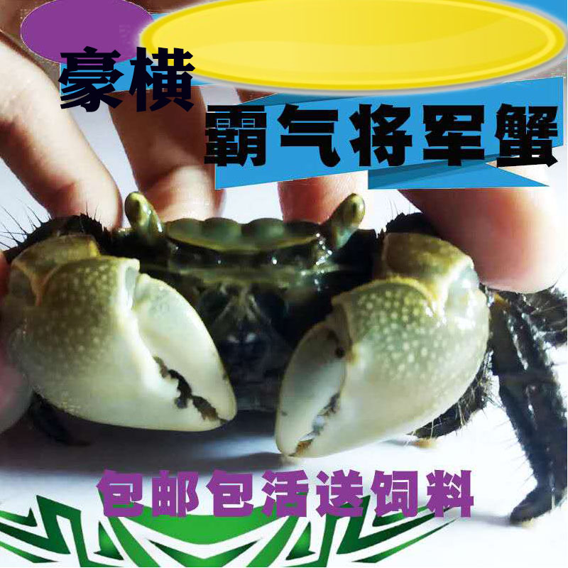 639c81abe5c8b4cc.jpg