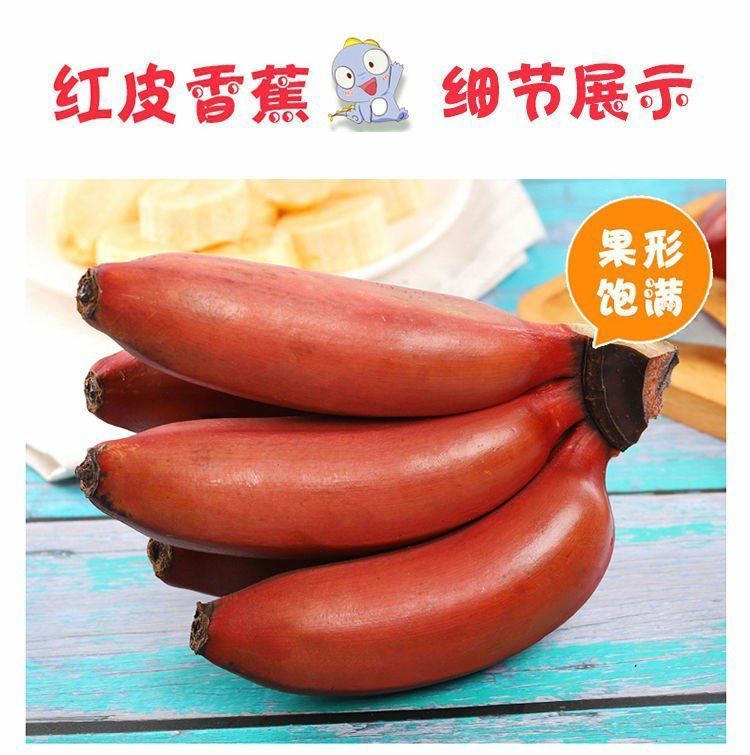 【自家果园】福建红美人蕉红皮香蕉当季新鲜水果紫皮香蕉新鲜现摘华海