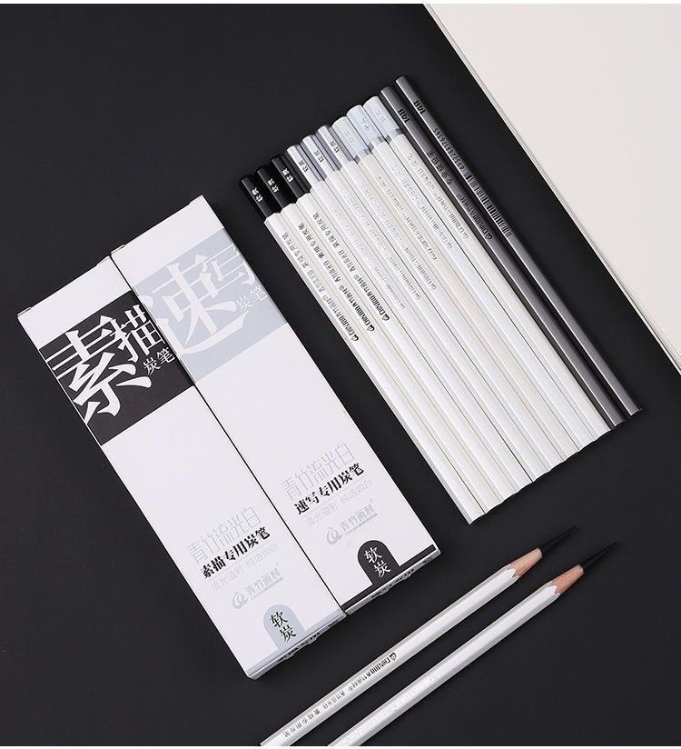 子女居博鹤州青竹流光白炭笔白杆软炭软中硬素描速写初学者绘画考试