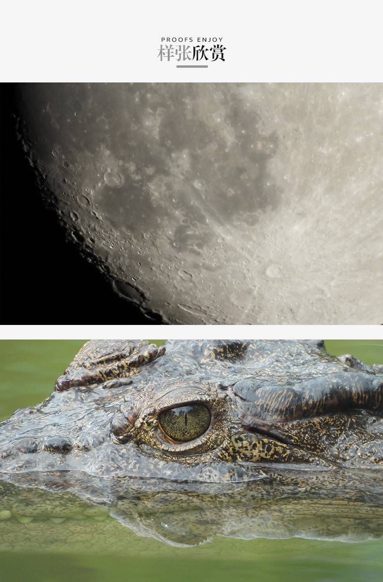 尼康(nikon) coolpix p1000 125倍变焦4k长焦相机p900s p1000全新国行