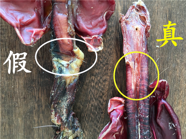 森特鹿鞭超大品质种鹿干鹿筋鹿鞭膏整枝鹿茸鹿鞭 吉林鹿鞭【图片 价格