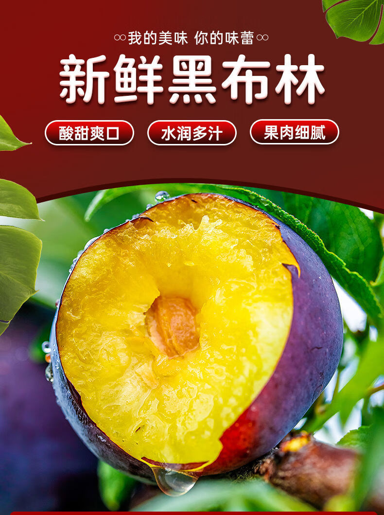 黑布林李子新鲜水果整箱现货李子当季时令孕妇鲜果黑布林 2斤【大果】