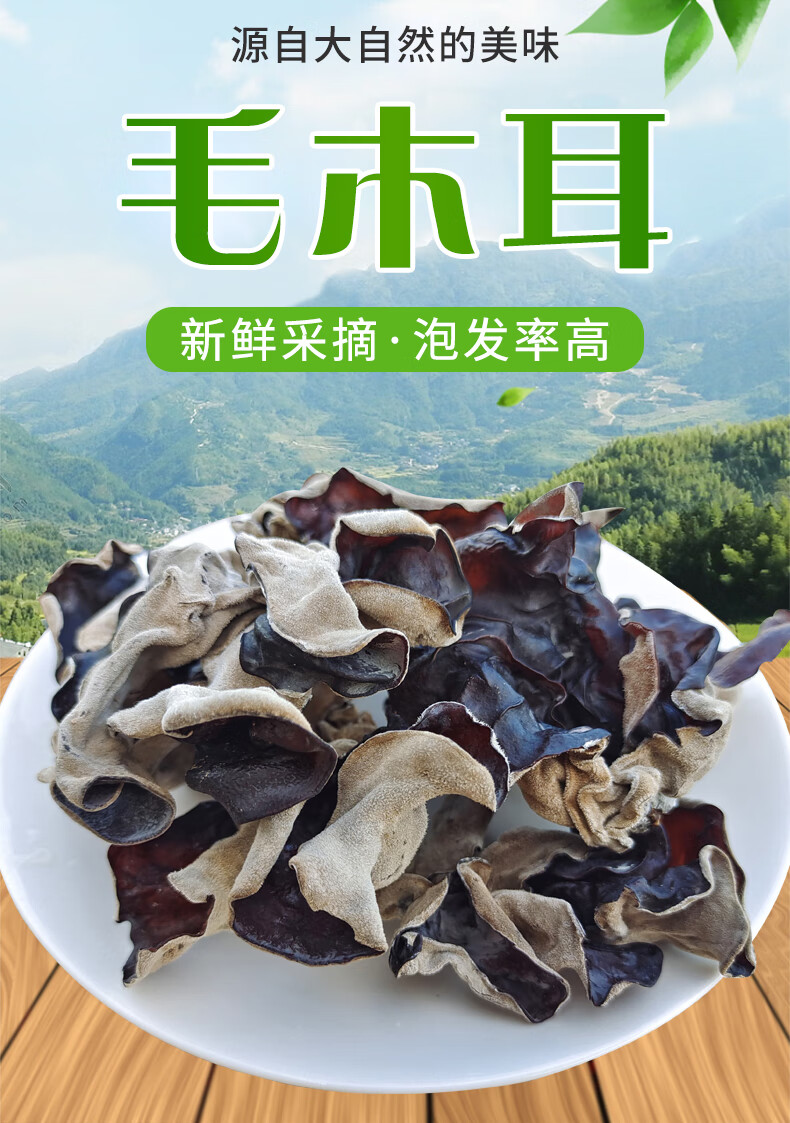 晨臻 毛木耳干货500g散装脆木耳白背黑木耳天然美味大地耳四川火锅