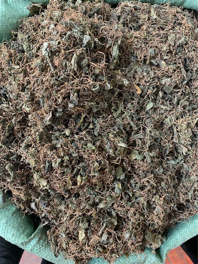 亏本卖3天青天葵500g中药材野生独脚天揆珍珠叶半边伞坠千斤新款九九