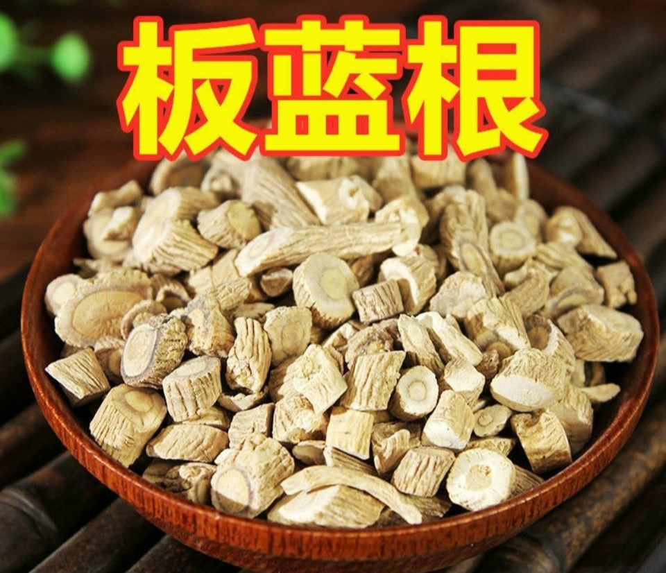 中药材板蓝根无硫板蓝根板蓝根250克