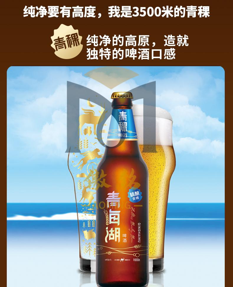 青海湖青稞精酿啤酒500ml*12瓶高端小麦啤酒整箱