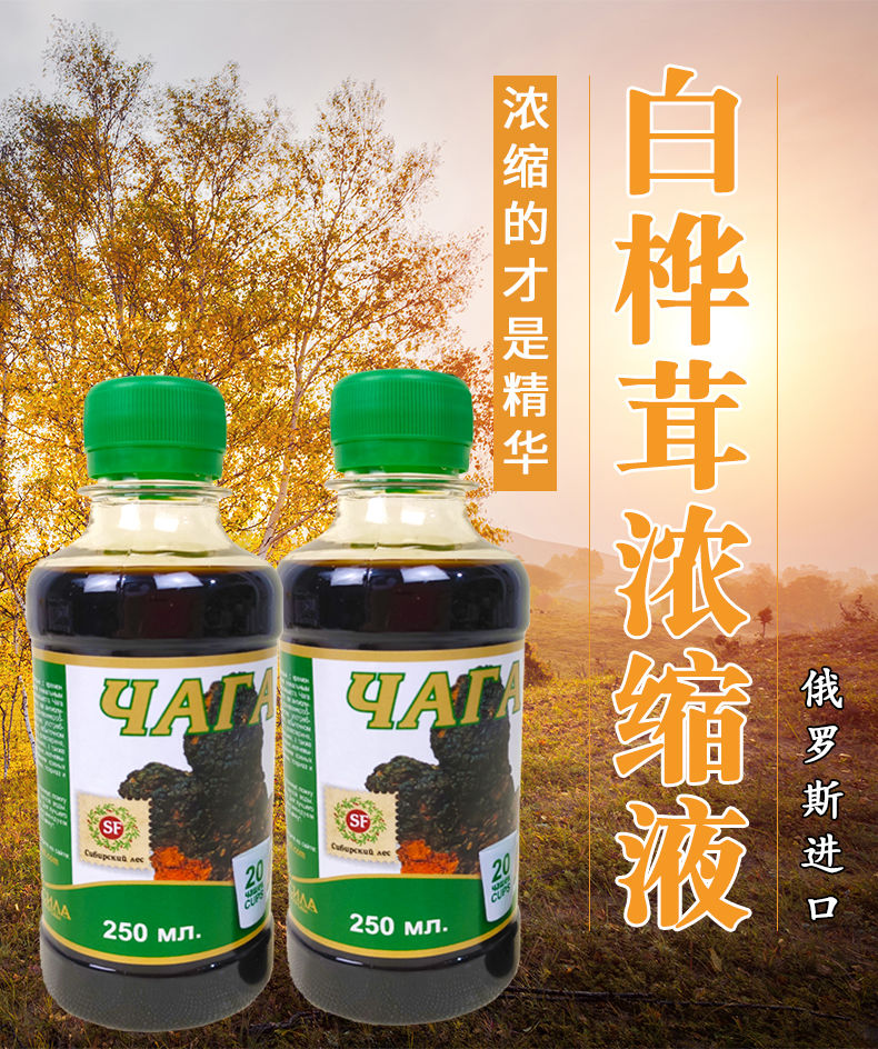 伟博俄罗斯桦树茸西伯利亚进口白桦茸浓缩提取液250ml桦树泪桦褐孔菌
