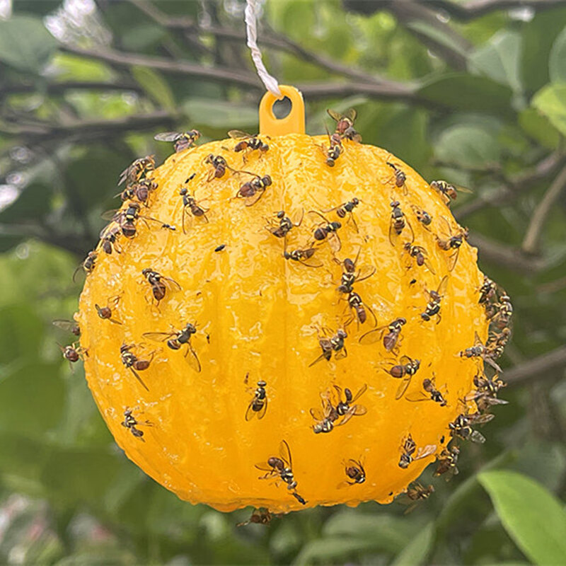 诱蝇球诱蝇球柑橘大实蝇粘虫球神器针锋药果蝇引诱剂瓜果实蝇诱粘剂