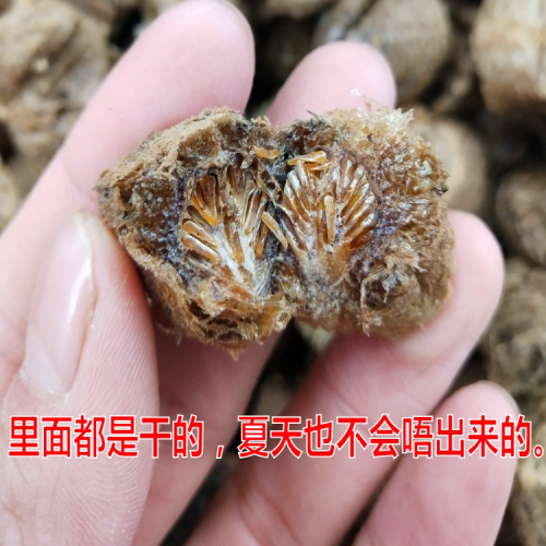 熟桑螵蛸50g/250g 桑蛸 新货 熟桑螵蛸干螳螂子