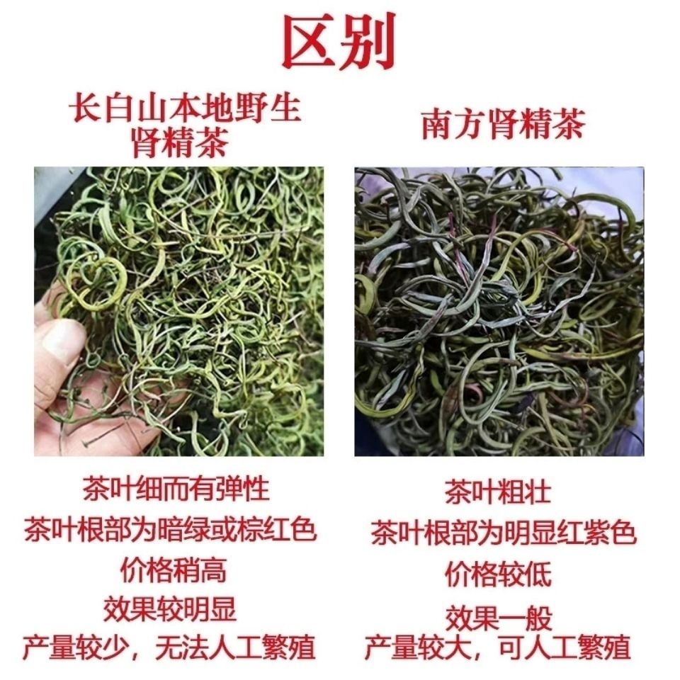 天然肾精草长白山东北野生肾精草男女养生泡水化石草五宝草新货 250克