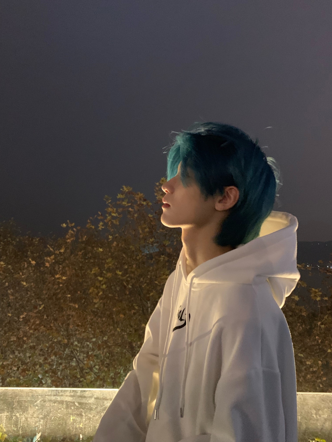 网红同款不洗头神器颜色狼尾个性节目表演假发雾霾蓝鲻鱼头全头套奶奶