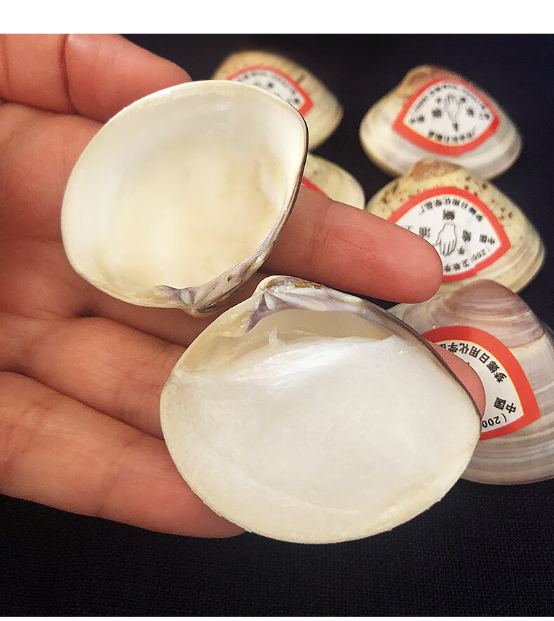 5个装老上海蛤蜊油国货防干裂贝壳油歪歪油哈喇护手霜哈利滋润手足