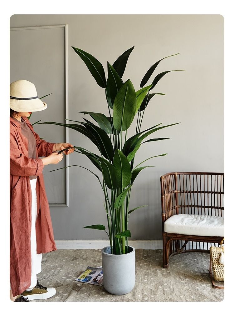 仿真绿植美人蕉大型北欧旅人蕉客厅落地盆栽室内ins风假花装饰树160cm