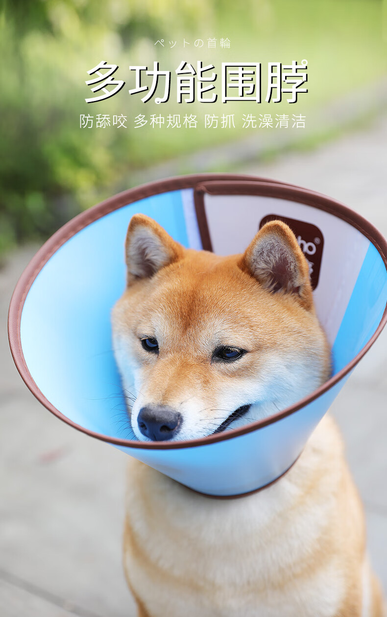 伊丽莎白圈大型犬金毛头罩狗狗头套防咬舔耻辱圈宠物伊利沙白项圈lism