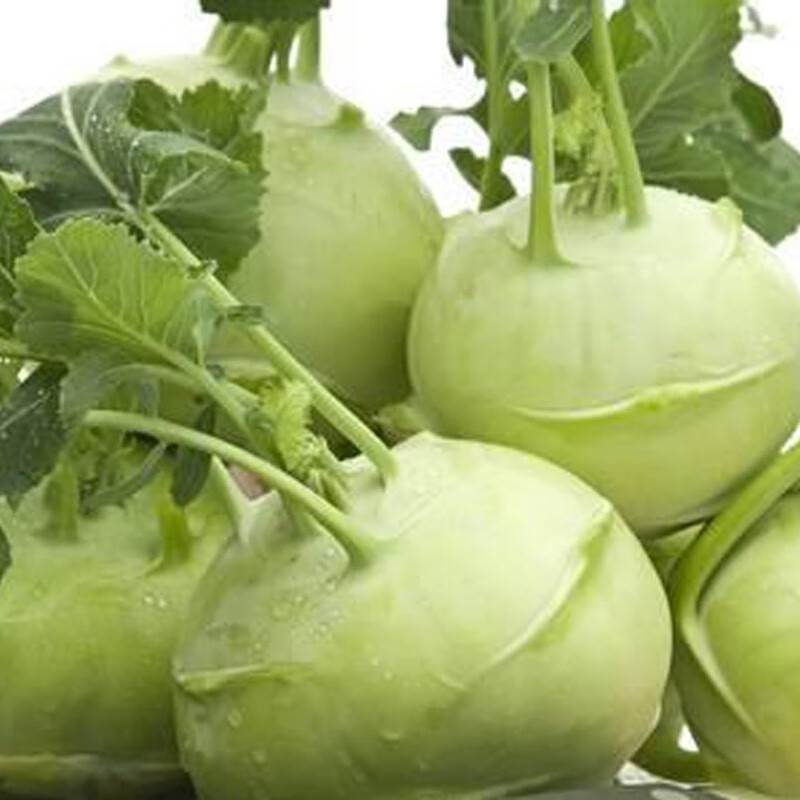 新鲜蔬菜苤蓝撇了疙瘩菜芥菜头泡菜59斤现发生鲜团建过年送礼9斤